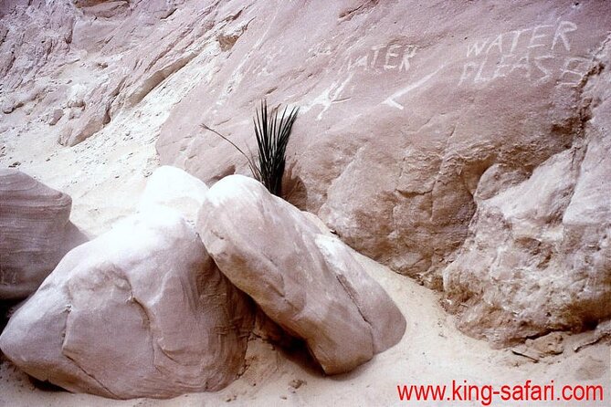 1-Day Jeep Excursion from Dahab to Small Colored Canyon - Timing, Meals, and Staying Comfortable in the Sinai Desert