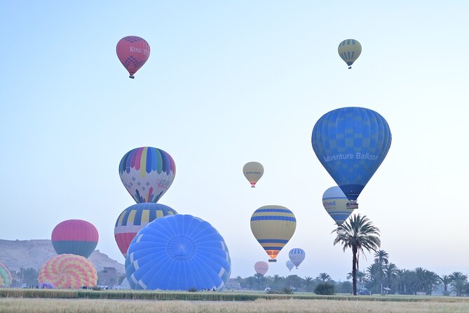 1 Day Private Tour with Hot Air Balloon from Hurghada to Luxor - Medinet Habu: where the reliefs and details get attention