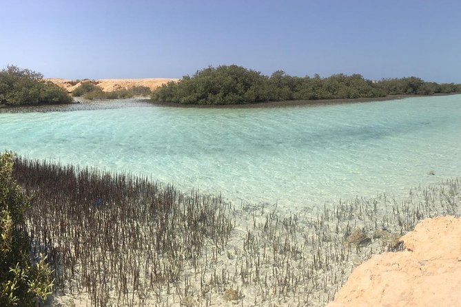 1 Day Private Trip to Ras Mohamed By Car From Sharm-el-Sheikh - First Stops: Mangroves, Salt Lake, and Those Strange Geological Marks