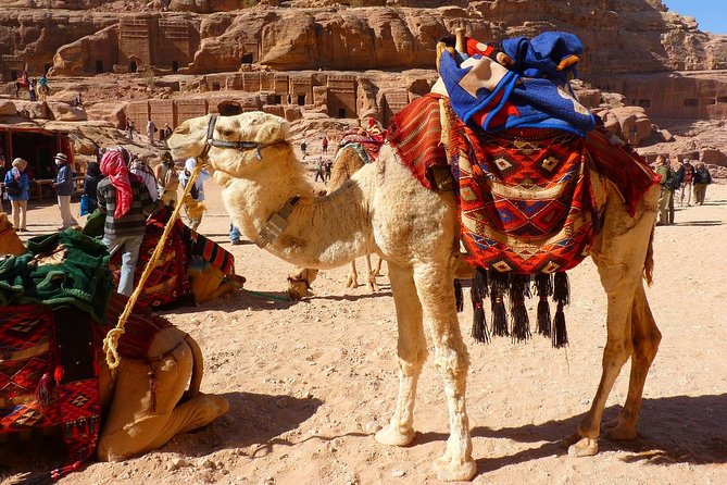 1 Day Tour to Petra From Sharm-el-Sheikh - The guide factor: when English flow matters in the big moments