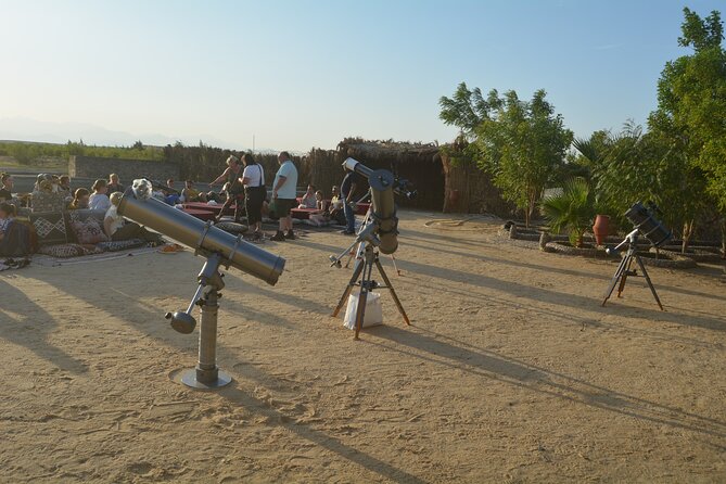 1 Hour horse Ride and Jeep adventure with stargazing -Hurghada - Tea, Camel, and a Bedouin-Style Farm Stop