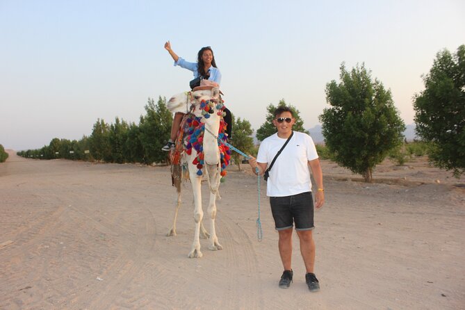 1 Hour horse Ride and Jeep adventure with stargazing -Hurghada - Stargazing, Horoscope Talk, and Telescope Time