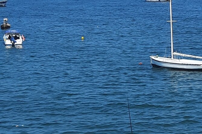 10-Hours day trip Alexandria from Cairo by private vehicle - Bibliotheca Alexandrina: plan for the ticket if you want inside