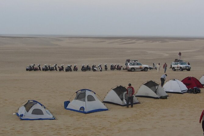 2 Day Bahariya Oasis White Desert Tour - Black Desert and Crystal Mountain: geology fans will grin here