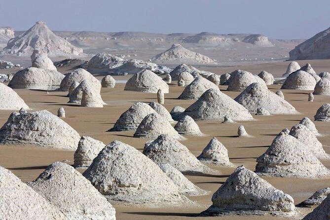 2 Day Bahariya Oasis White Desert Tour - Sandboarding and the sunrise/sunset magic (without overhyping it)