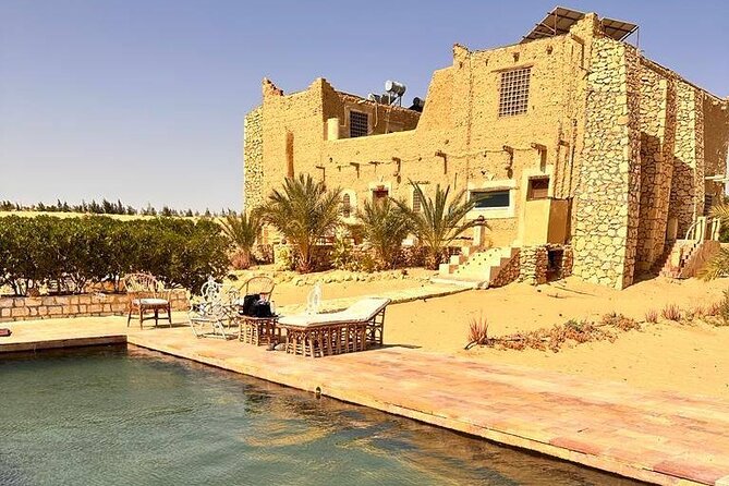 2-Day Egypt Desert Rose Tour - Day 2: finishing the route at Bahariya Oasis and heading back to Cairo