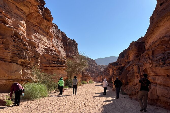 2 Day Private Desert Experience in Sinai - Camp life at Dar Jan: food, hosting, and a calmer desert night