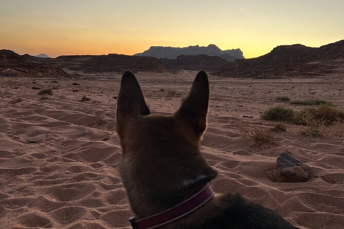2 Day Private Desert Experience in Sinai - Getting to Nuweibaa and meeting your team