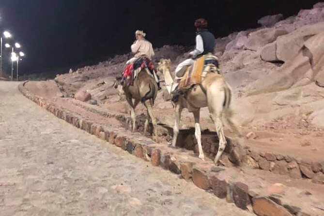 2-Day St Catherine and Moses Mountain Tour from Cairo - Practical tips to make the night climb less painful