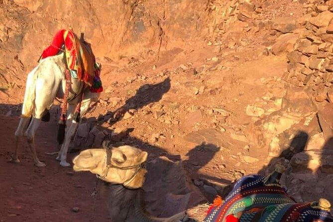 2-Day St Catherine and Moses Mountain Tour from Cairo - Day 2: The 2:00 am climb up Moses Mountain for sunrise