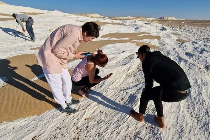 2 Days 1 Night to White and Black Desert from Cairo or Giza - Day 2 breakfast + old White Desert: mushroom rocks at sunrise pace