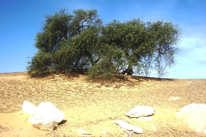 2 Days 1 Night White Desert From Cairo ( private ) - Black Desert: Charcoal Peaks and Volcanic-Era Clues