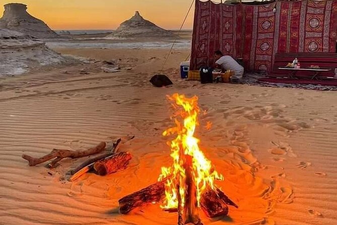 2 Days and 1 Night White Desert Camping Tour - Price and Logistics: What $350 Really Buys You