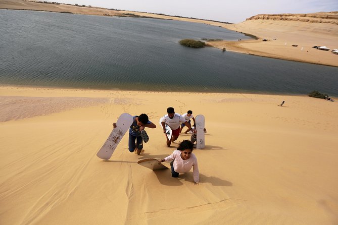 2 Days Desert Safari Trip to Fayoum Oasis from Cairo - Magic Lake and Wadi El-Ryan Waterfalls by 4x4