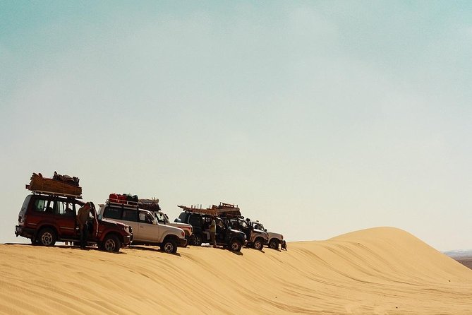 2 Days Desert Safari Trip to Fayoum Oasis from Cairo - Day 1 starting at 8:00: Cairo to Fayoum Oasis North Lake