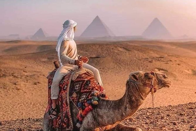 2 days private tour all inclusive, Cairo and Giza attractions - Egyptian Museum (3 Hours): How One Building Changes What You Think You Know