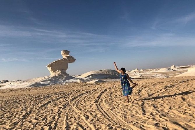2 Days White Desert And Bahariya Oasis Tour - Price and value: why $450 can be fair for this route