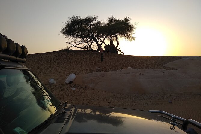 2 Days White Desert Tour in Egypt - Sunset and Overnight Camp: When the White Desert Becomes a Night Sky Event