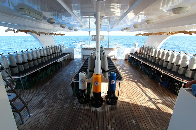 2-Dive adventure-Safe & Top-rated boat for Certified Divers - Timing details: how the day runs from 8:00 am to about 4:00 pm