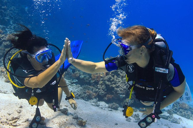 2-Dive adventure-Safe & Top-rated boat for Certified Divers - The onboard lunch break: buffet food and time to cool down