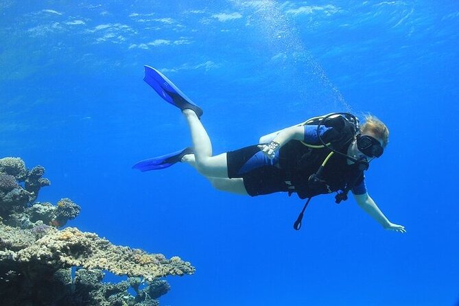 2 Dive Stops Intro Scuba Diving With Lunch & Transfer - Hurghada - Equipment and boat setup: what “included” really means