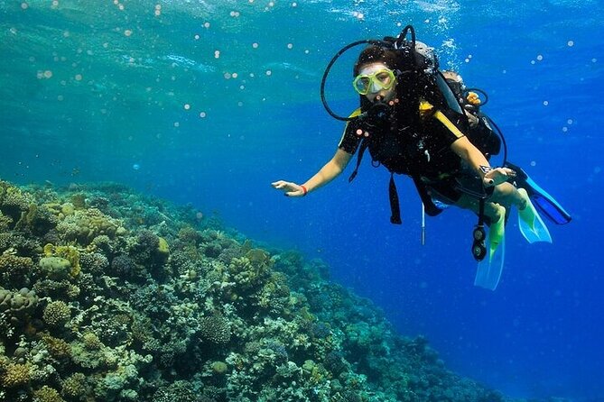 2 Dive Stops Intro Scuba Diving With Lunch & Transfer - Hurghada - Lunch, soda/pop, and the practical art of not getting hungry