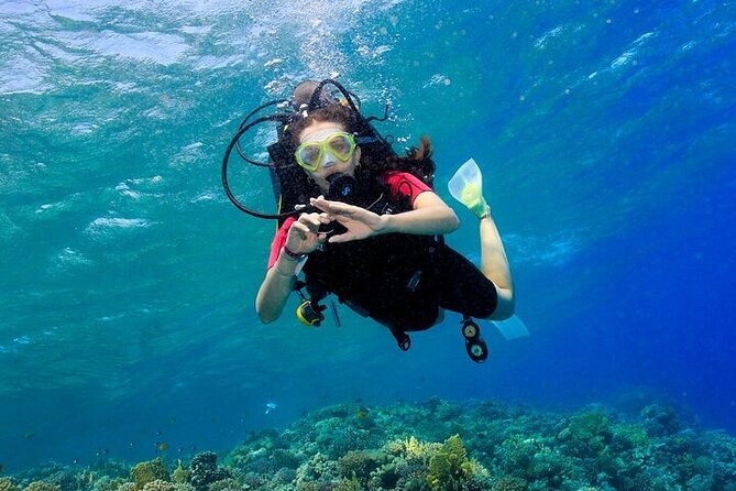 2 Dive Stops Intro Scuba Diving With Lunch & Transfer - Hurghada - Should you book this Hurghada intro scuba day?