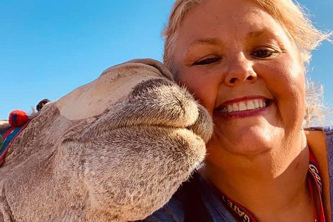 2-Hours Camel Ride around Giza Pyramids - Value for $13: Why This Price Feels Fair