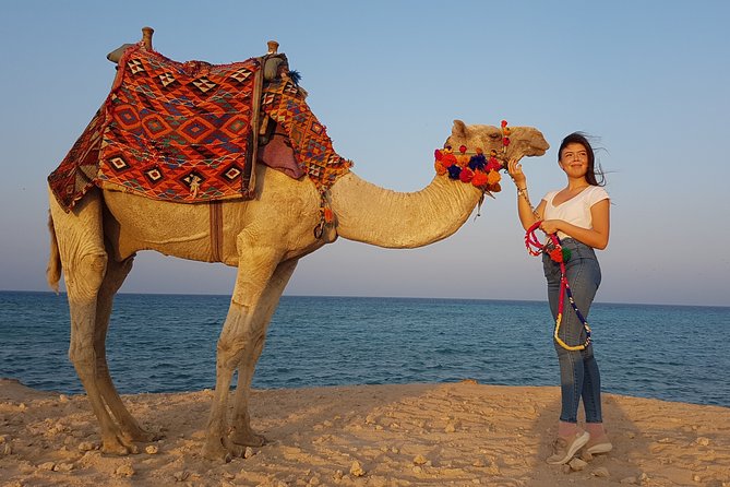 2 hours Camel Riding at Amazing Desert & Sea With Transfer - Hurghada - Key points I’d bank on