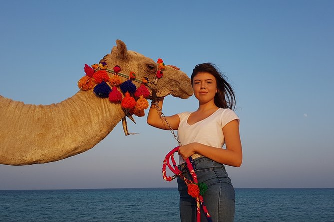 2 hours Camel Riding at Amazing Desert & Sea With Transfer - Hurghada - Why a Desert & Sea Camel Ride Works So Well in Hurghada