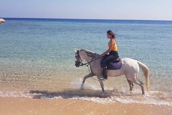 2 Hours Horse Riding Adventure in The Sea & Desert - Hurghada - Getting There: Pickup, the Stables, and Why the First 20 Minutes Matter