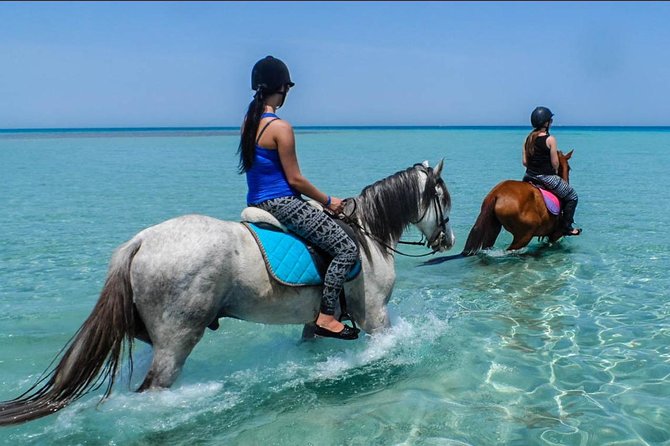 2 Hours Horse Riding Adventure in The Sea & Desert - Hurghada - The First Hour by the Red Sea: Coast Views and Practical Riding Reality