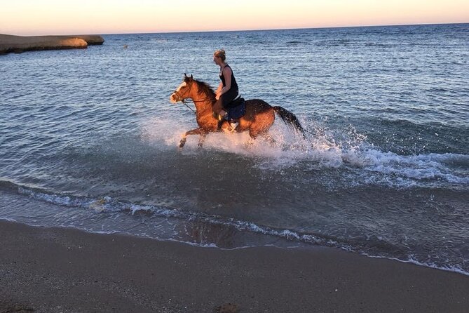 2 Hours Horse Riding Adventure in The Sea & Desert - Hurghada - Camel Ride Option: Worth Adding, and How to Decide