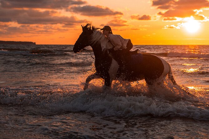 2 Hours Horse Riding Adventure in The Sea & Desert - Hurghada - Horses, Helmets, and Safety: My Checklist Before You Mount