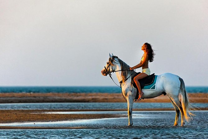 2 Hours Horse Riding Adventure in The Sea & Desert - Hurghada - Guides Make the Difference: Examples of Support That Land Well
