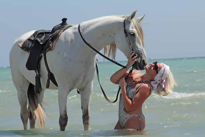 2 Hours Horse Riding Adventure in The Sea & Desert - Hurghada - Timing and Group Size: How 3 Hours Can Feel Right