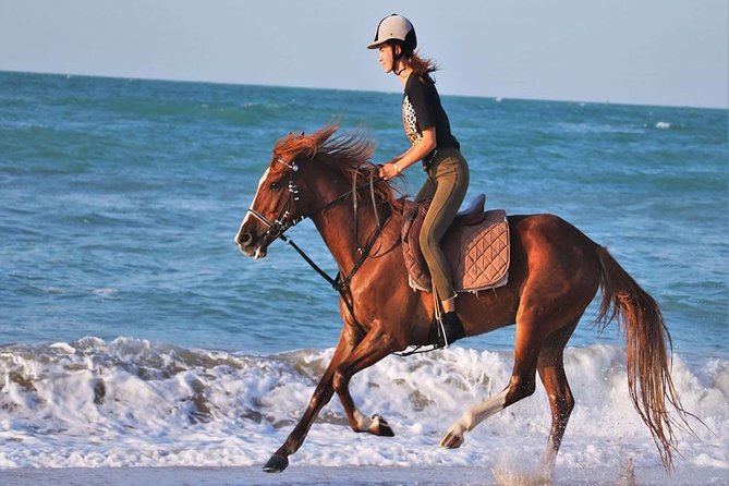 2 Hours Horse Riding Adventure in The Sea & Desert - Hurghada - Price and Extra Costs: Is $10 Really a Bargain?