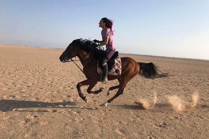 2 Hours Horse Riding Adventure in The Sea & Desert - Hurghada - Second Hour in the Dunes: Desert Riding That Feels Like Another World