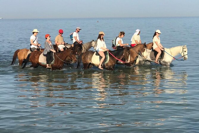 2 hours Horse Riding on The Sea and Desert- Hurghada - Key highlights from the sea-and-desert ride