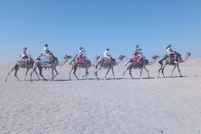 2 hours Horse Riding on The Sea and Desert- Hurghada - The real flow: coaching, then a calm start, then sea time