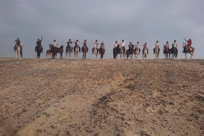 2 hours Horse Riding on The Sea and Desert- Hurghada - Horses vs camels: choose based on how you want to spend those two hours