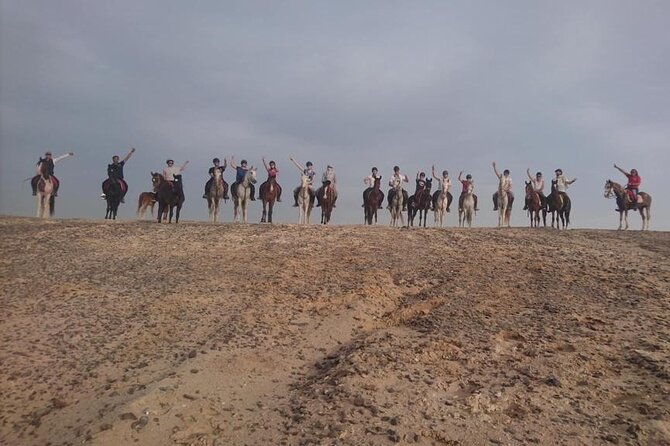 2 hours Horse Riding on The Sea and Desert- Hurghada - Pickup and transfers: the part that can make or break your morning