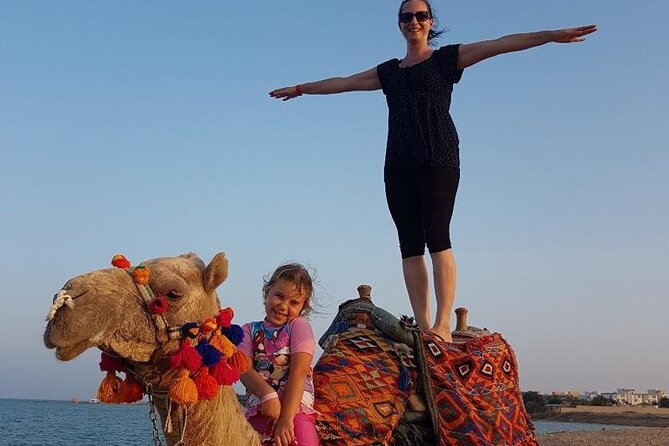 2 hours Horse Riding on The Sea and Desert- Hurghada - Safety and animal care: what’s strong, what to watch, and what to ask yourself