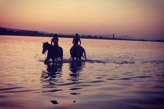 2 hours Horse Riding on The Sea and Desert- Hurghada - What to expect from the desert section (and why it’s not the whole story)