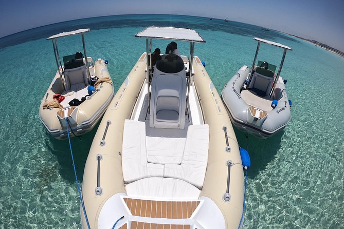 2 Hours Private Snorkeling & Island Speed Boat Tour - Snorkeling stop: coral and colorful fish, with gear handled for you