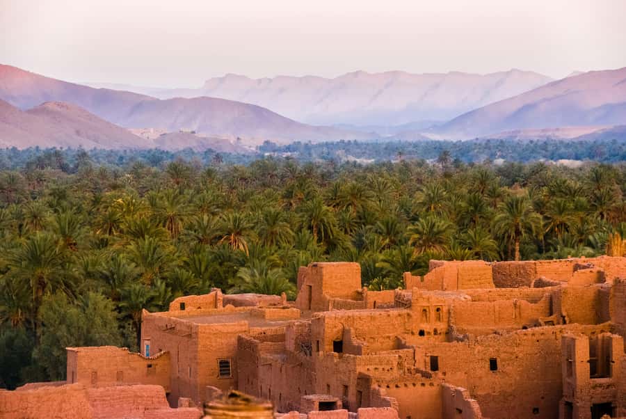 2 Nights 3 Days at Siwa Oases camp from Cairo - Food under the stars: the simple reason this trip lands