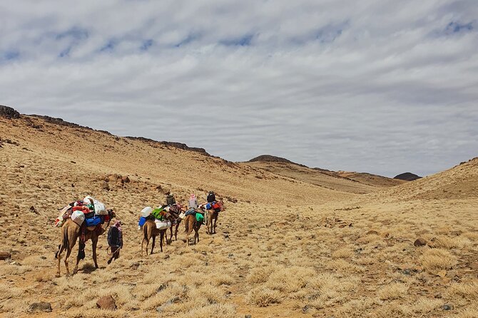 3 Days Hike Experience in Sinai Heights on Old Trails - Three Days On Old Paths and Older Bedouin Dwelling Areas