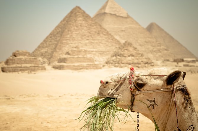 3-Days Private Guided Tour Package to Cairo, Giza and Alexandria - The Big Picture: A Private North Egypt Route That Feels Efficient