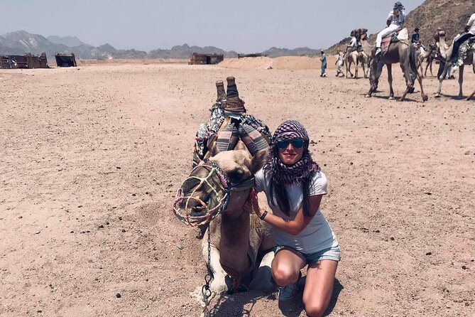 3 Hour ATV Quad Adventure in Hurghada - Camel ride and the return: one more animal, one more memory