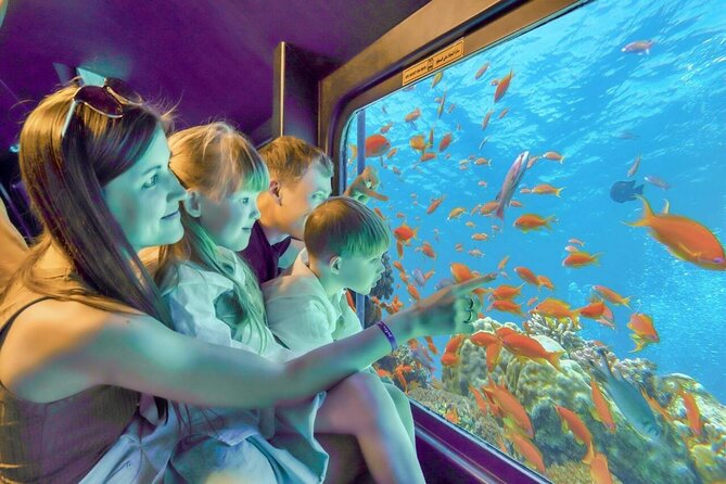 3 Hour Panorama by Semi Submarine Cruise w/ Transfer in Hurghada - The Underwater Windows: Where the Magic Actually Happens